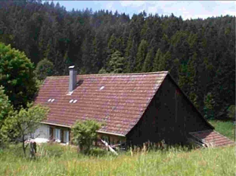 Natural landscape