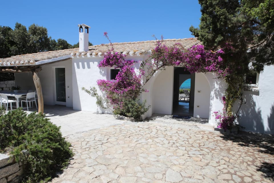 Patio, Facade/entrance, Garden