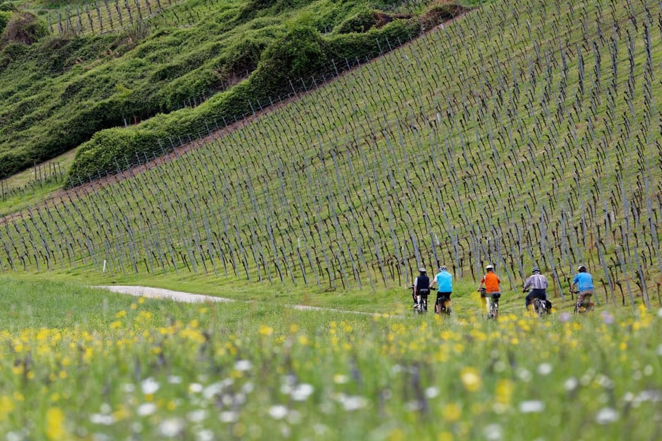 Natural landscape, Activities, Cycling