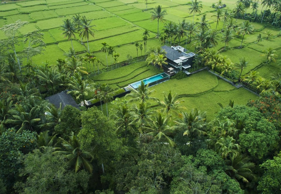 Bird's eye view, Garden view