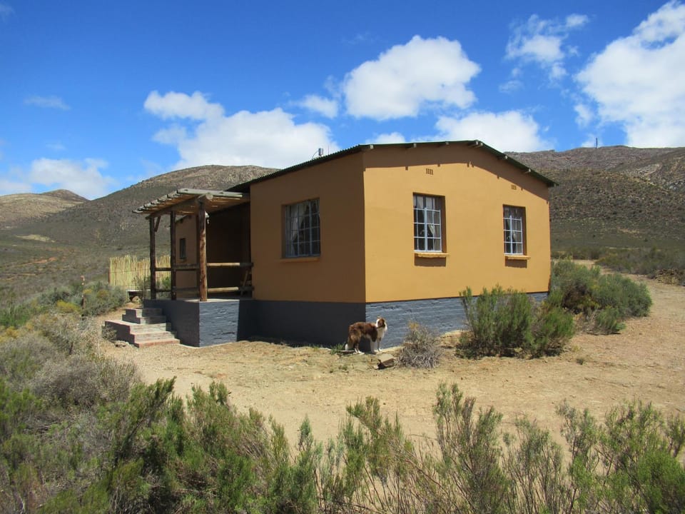 Property building, Garden view