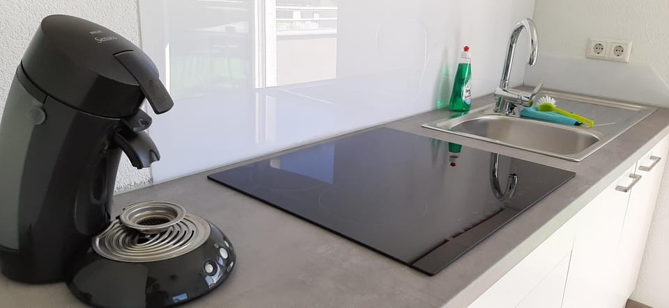 Ferienwohnung Menge Apartment in Baden-Württemberg