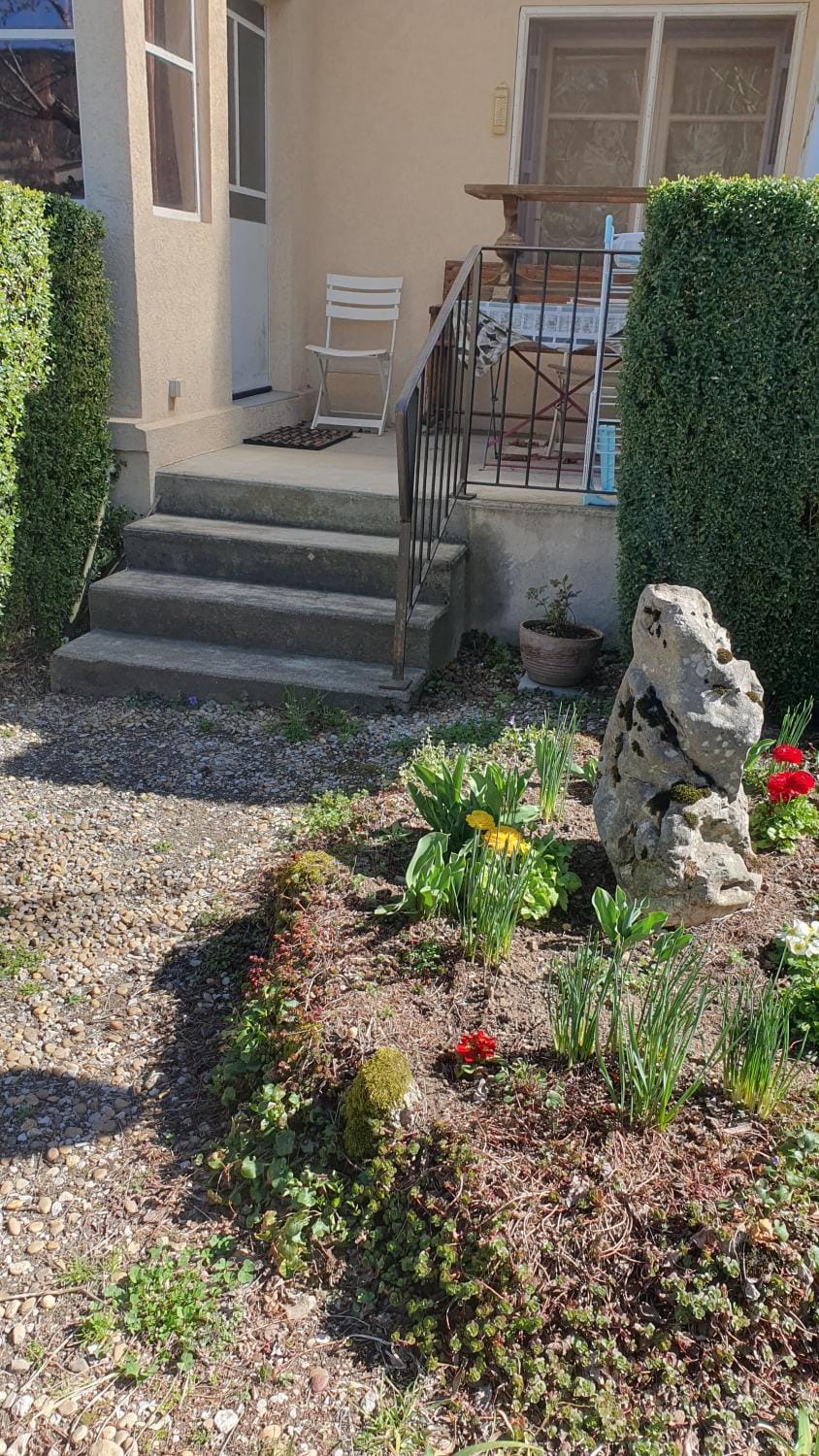 Garden view