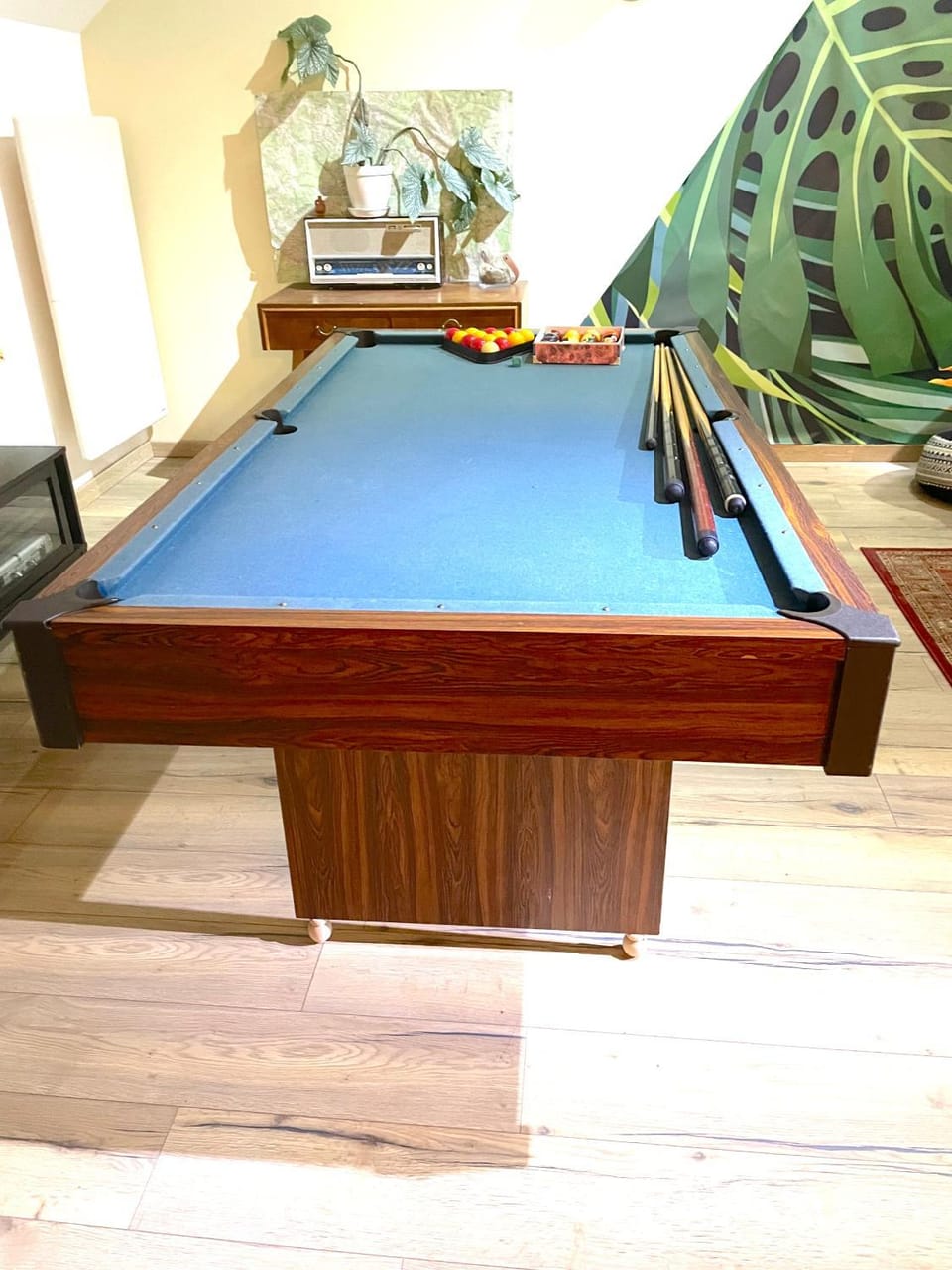 Billiard, Game Room