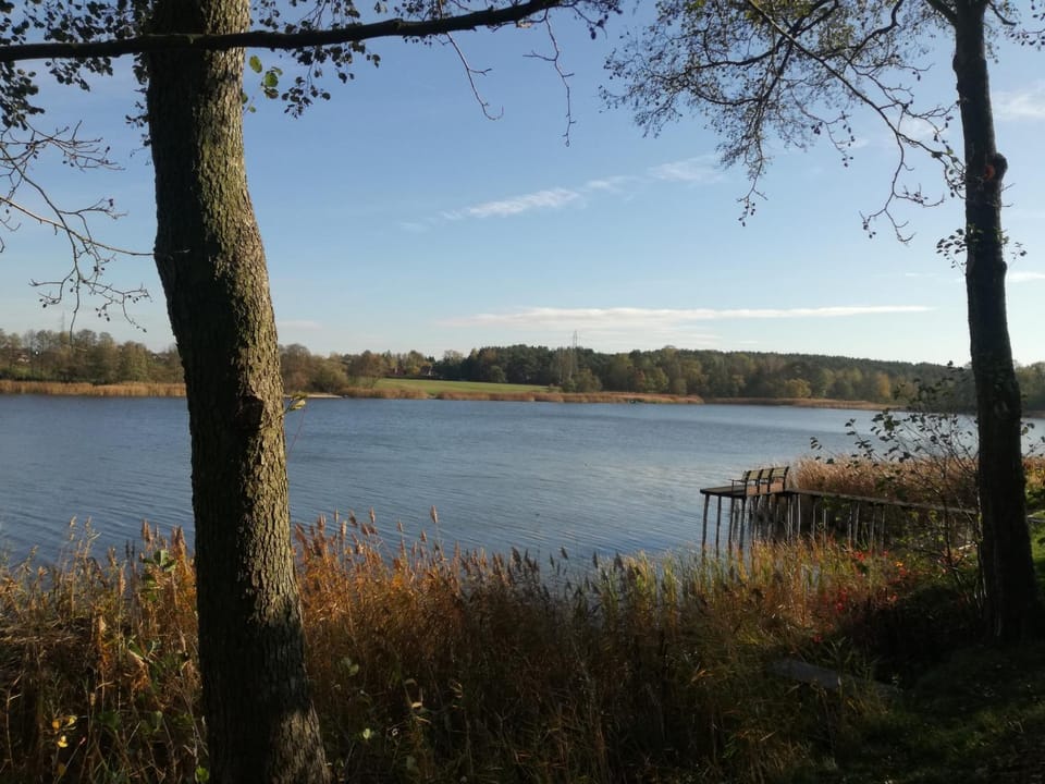 Lake view