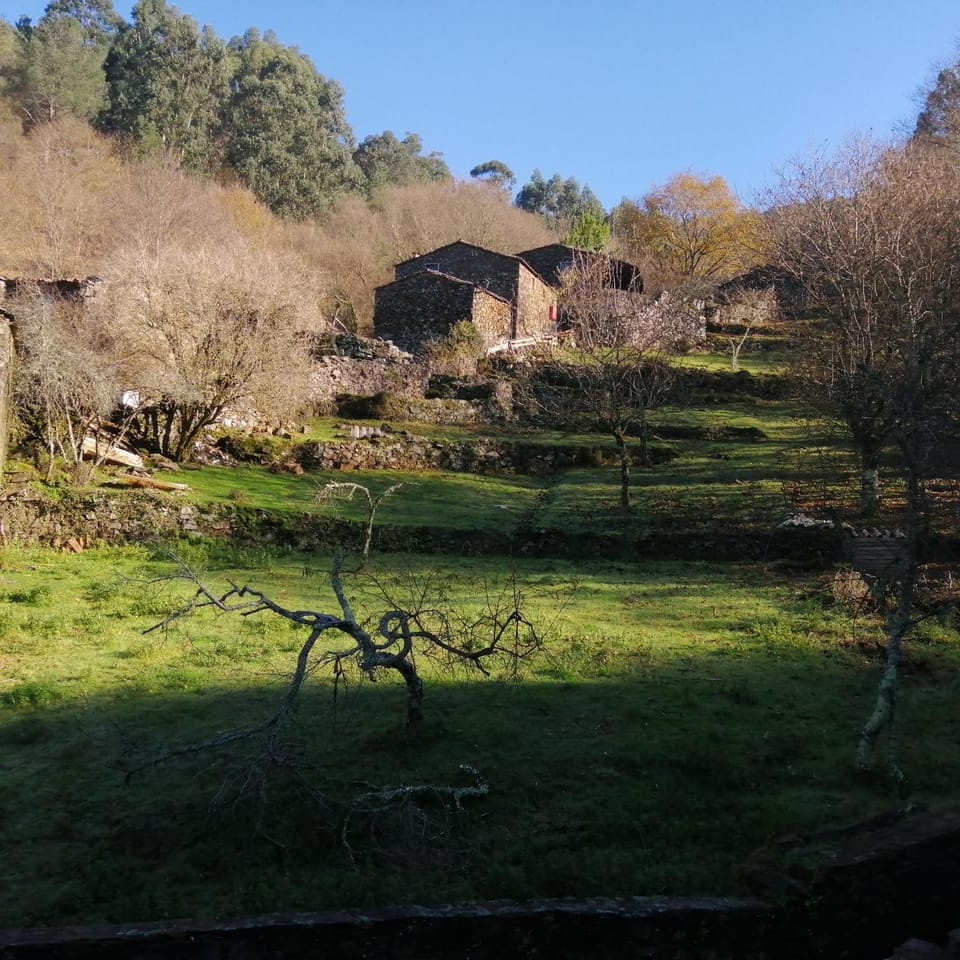 Natural landscape