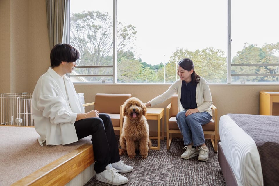 Photo of the whole room, Pets