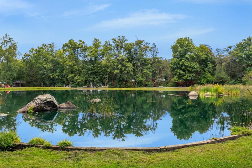 Lake view