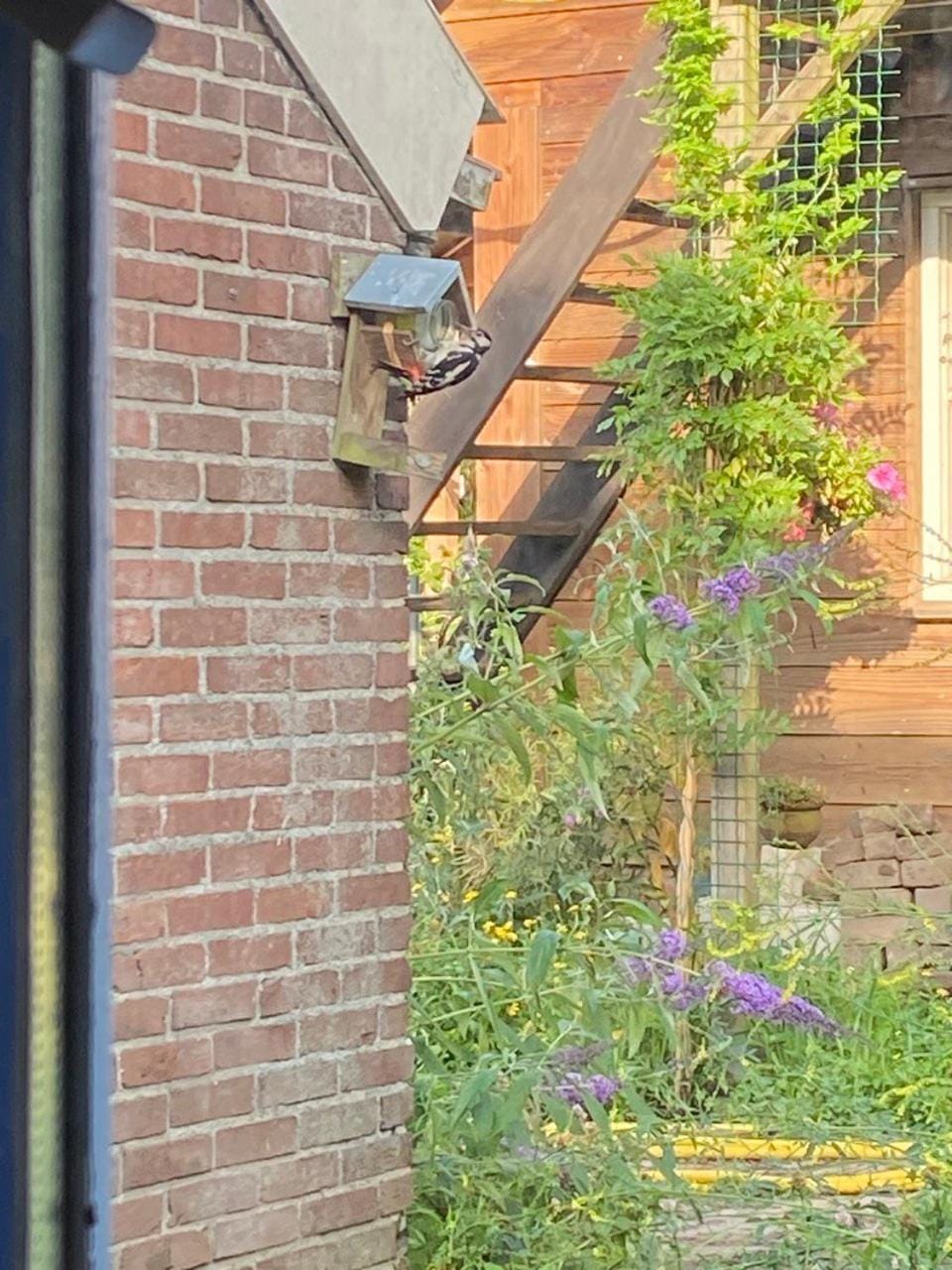 Logeerruimte in gerenoveerde boerderij in Wachtum Apartment in Dalen