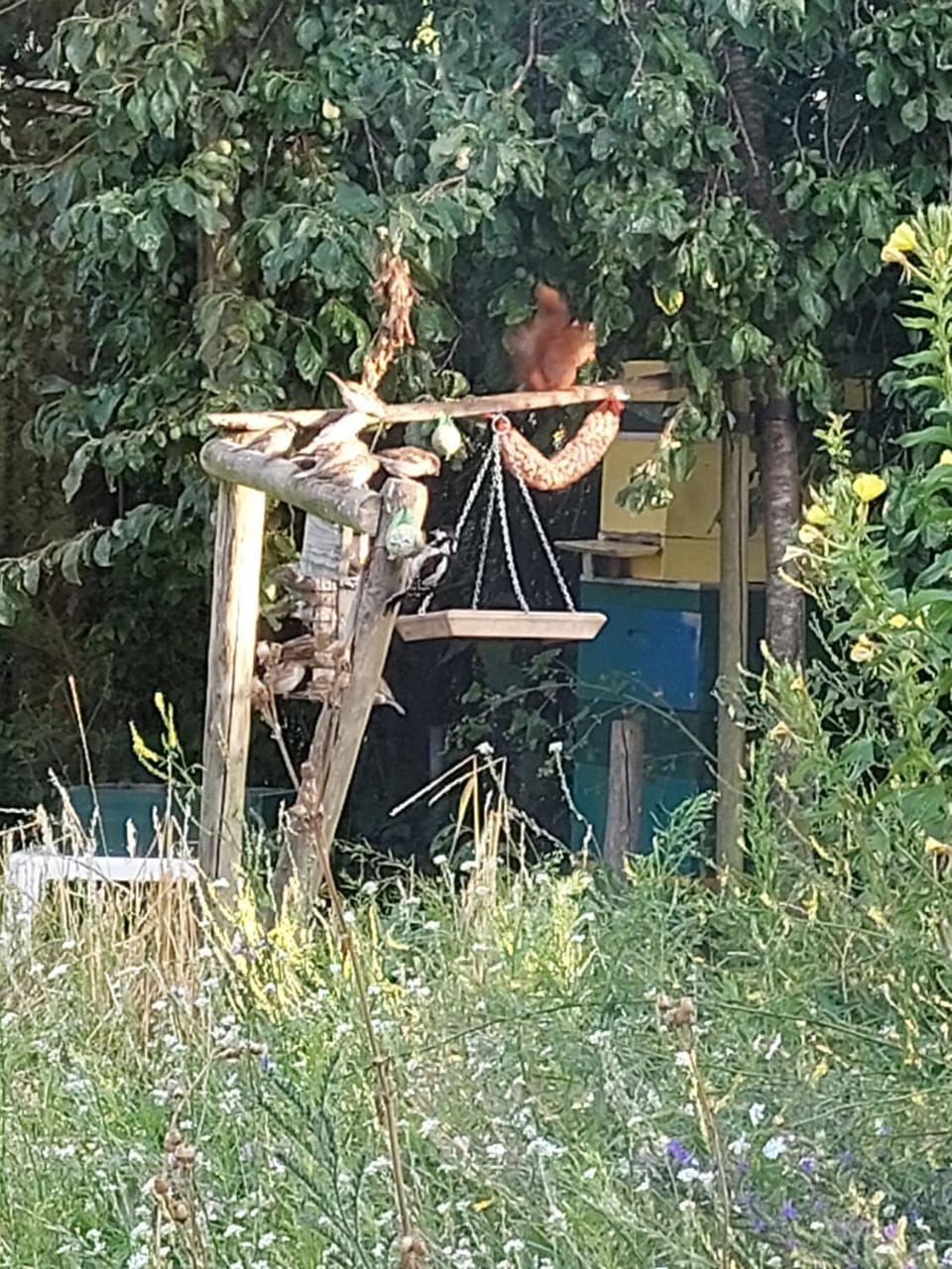 Logeerruimte in gerenoveerde boerderij in Wachtum Apartment in Dalen