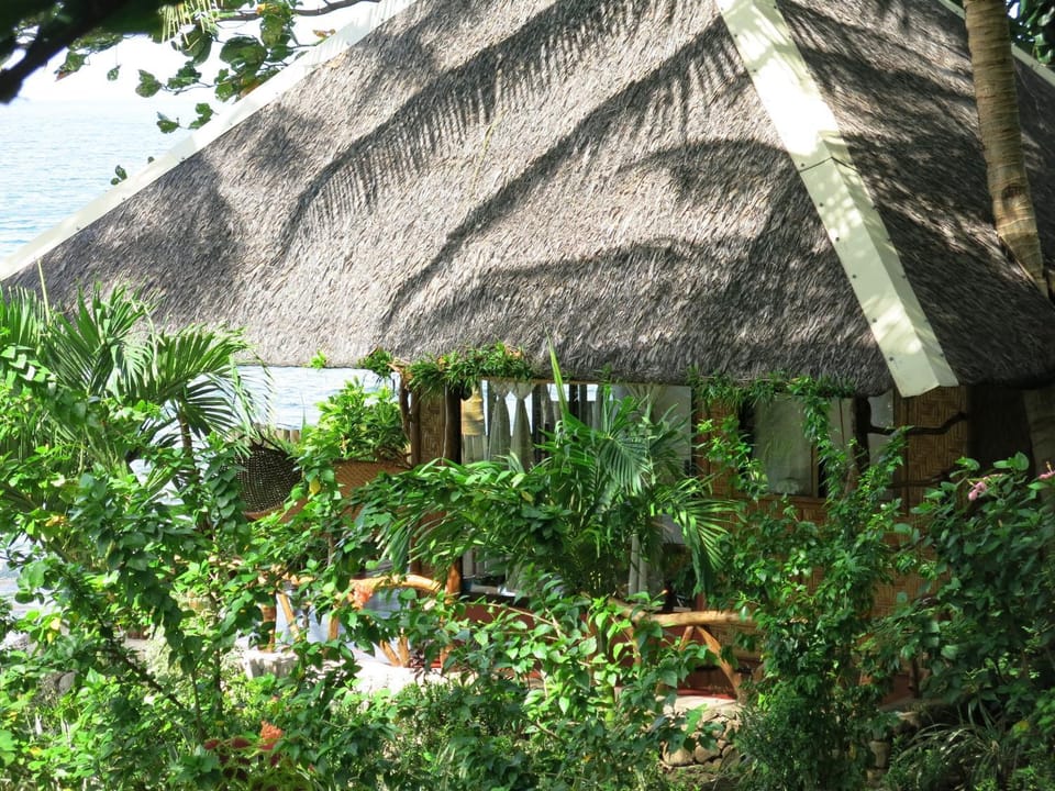 Garden, Balcony/Terrace, Photo of the whole room, Garden view, Sea view