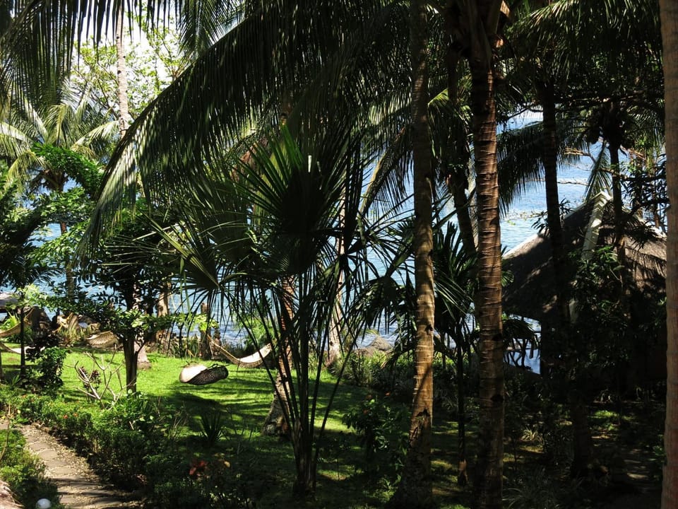 Garden, Garden view, Sea view, Sea view