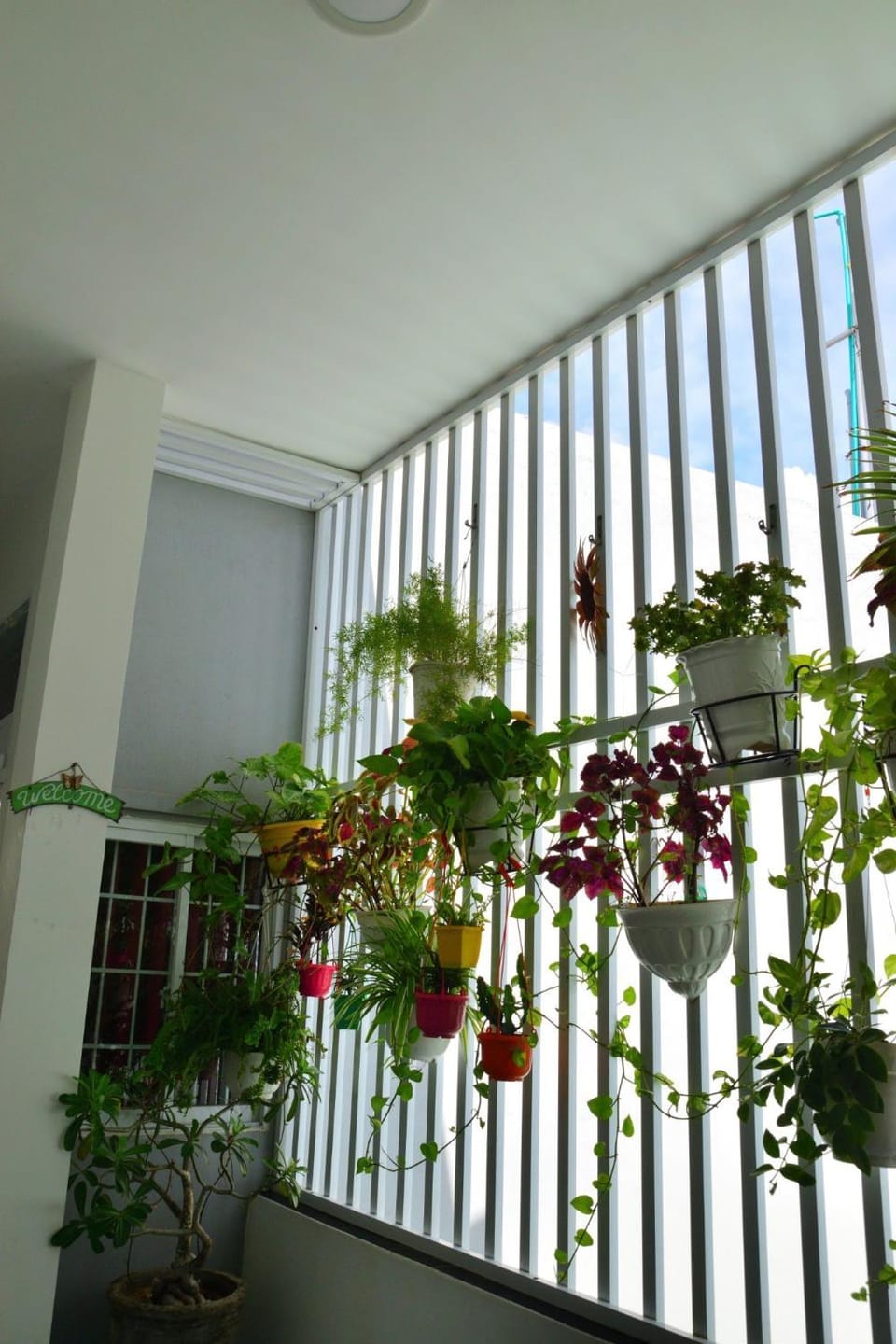 Blossom Homestay Vacation rental in Vietnam