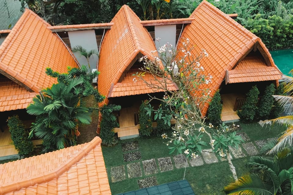 Property building, Day, Garden, Garden view