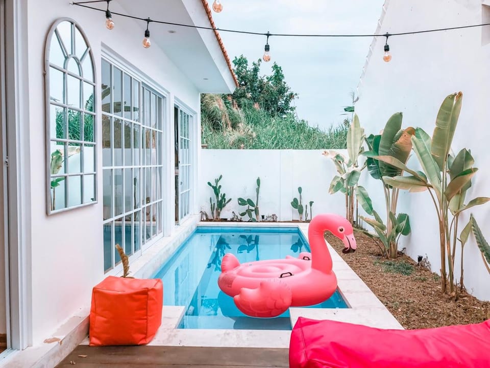 Swimming pool, Swimming pool