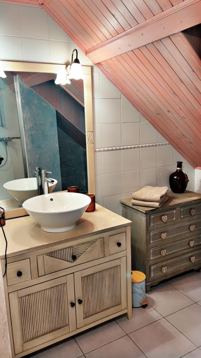 Toilet, Bathroom, hair dryier, towels, dryer