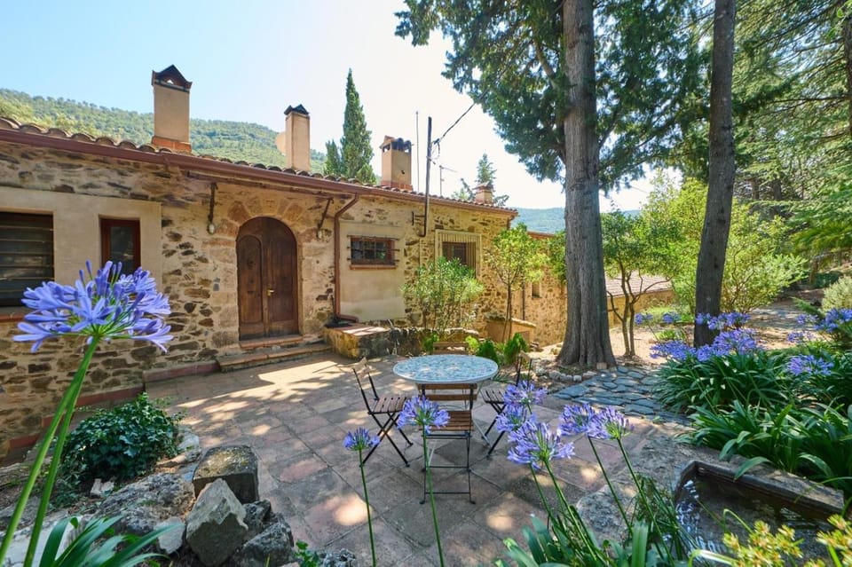 Property building, Garden, Garden view