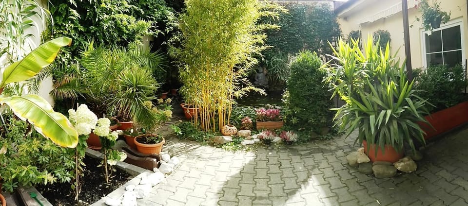 Patio, Garden