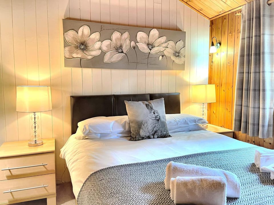 Snowdrop 13-Hot Tub-Woodlandlodges-Carmarthenshire Chalet in Wales