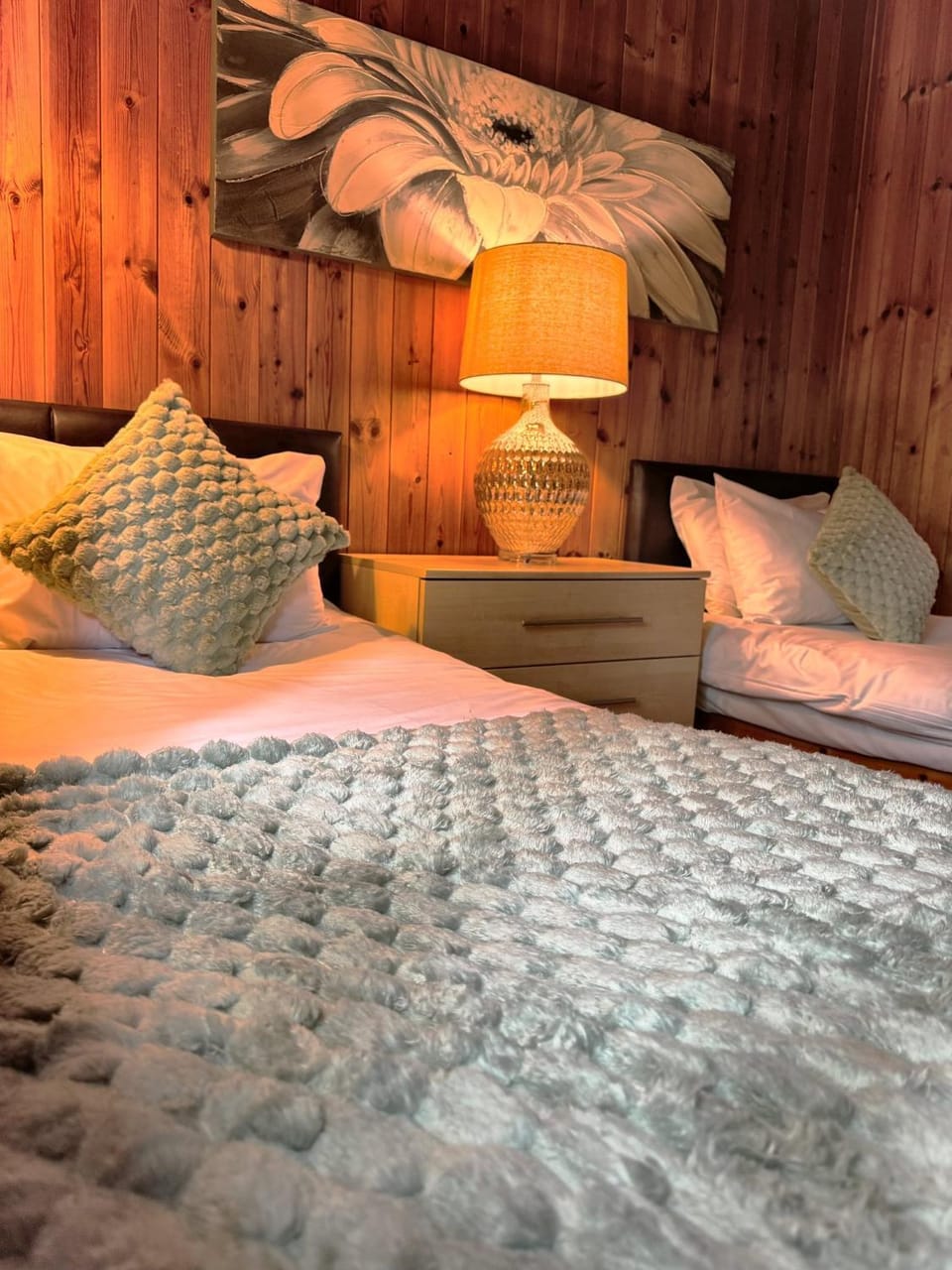 Snowdrop 14 - Dog Friendly - Hot tub--Tenby-Pendine Chalet in Wales