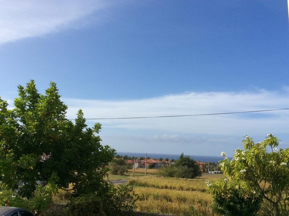 Natural landscape, Beach, Sea view