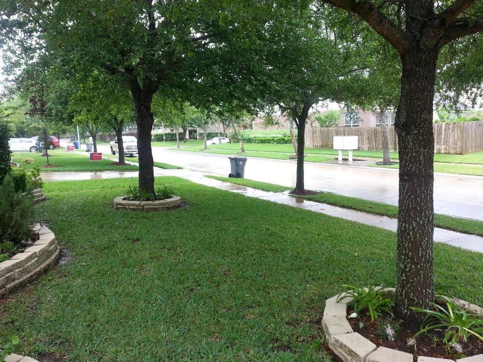 Property building, Garden