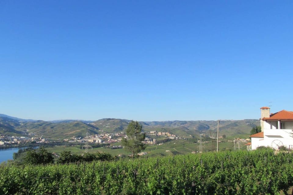 Natural landscape, City view, Mountain view
