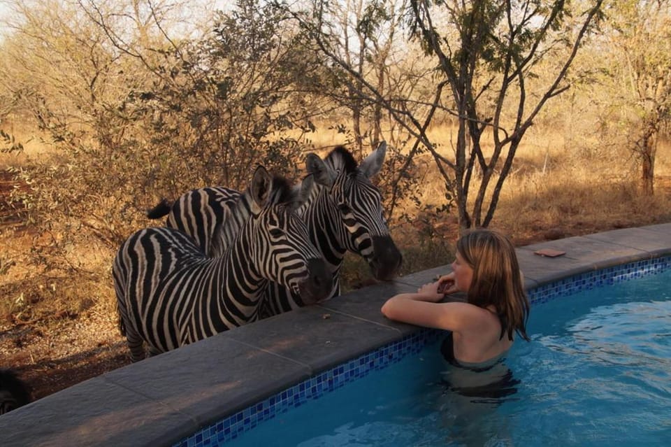 People, Animals, Garden view, Pool view, Area and facilities, Swimming pool, Swimming pool, children