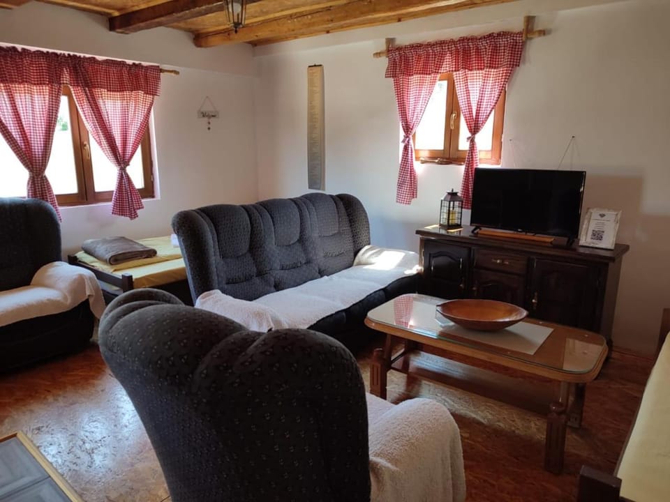 Village house Popovic Country House in Montenegro