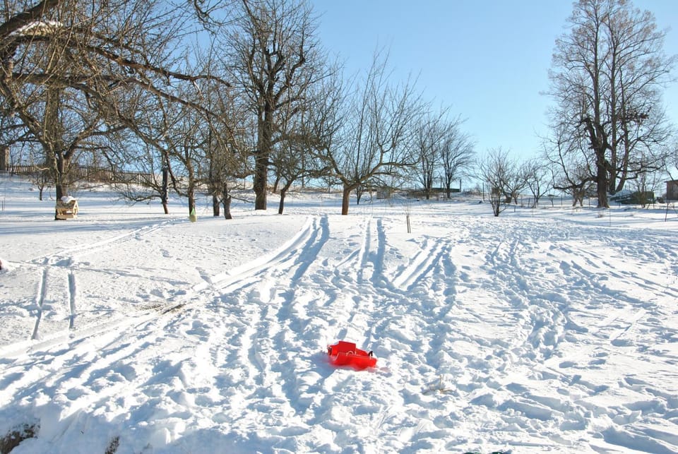 Winter, Garden