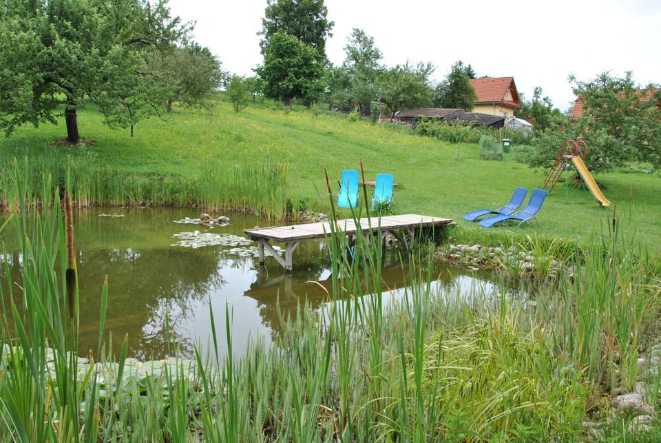 Lake view
