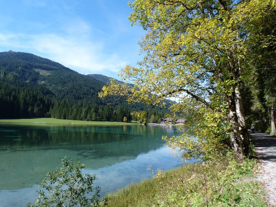Appartement Schuller Apartment in Salzburgerland