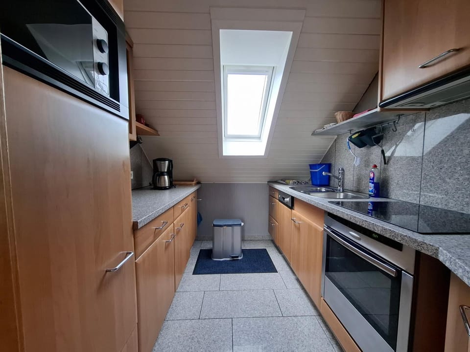 Kitchen or kitchenette, kitchen