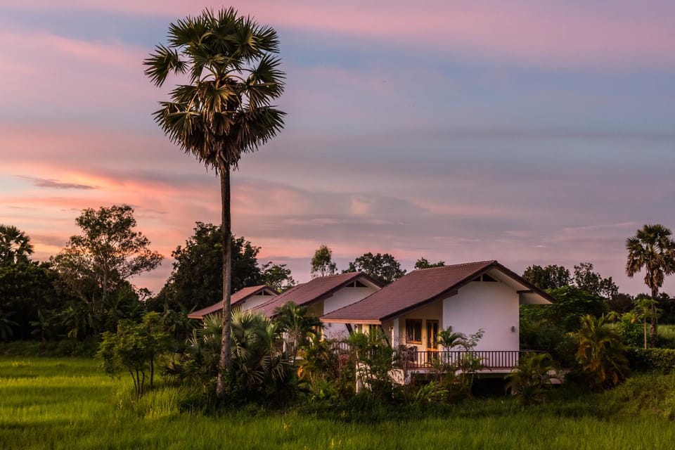 Garden, Sunset