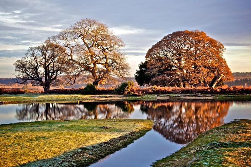 New Forest Brockenhurst House in Brockenhurst