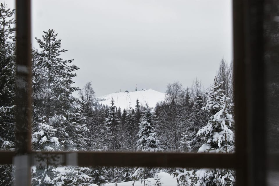 Natural landscape, Winter, Mountain view