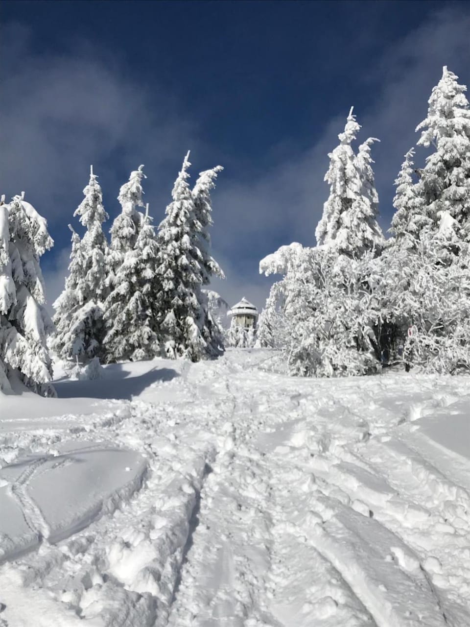 Natural landscape, Winter
