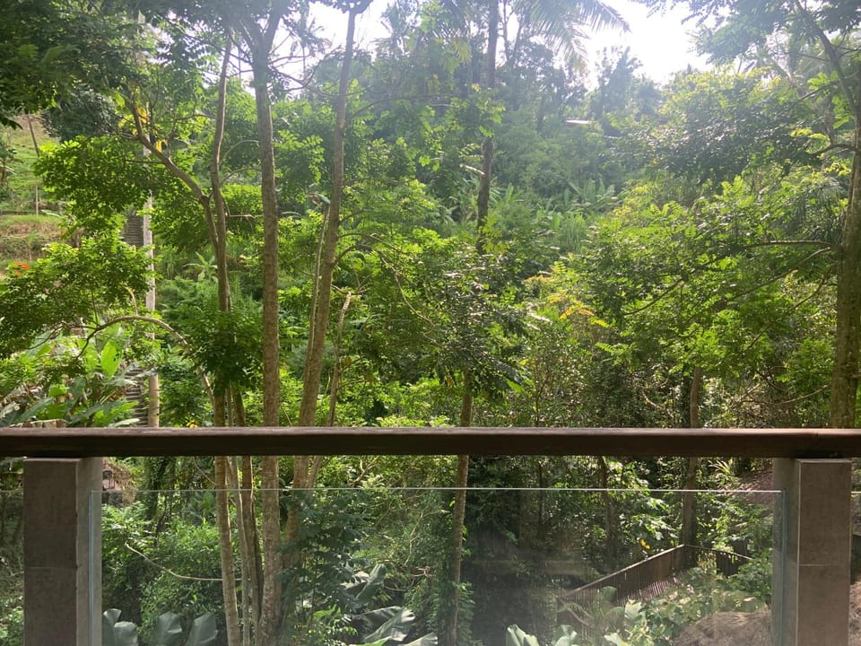 Pool view, River view