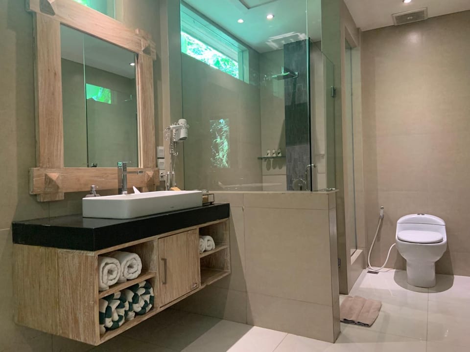 Shower, Toilet, Bathroom, towels