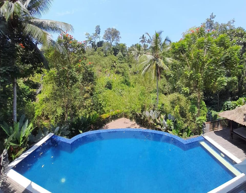 Natural landscape, Pool view, Swimming pool