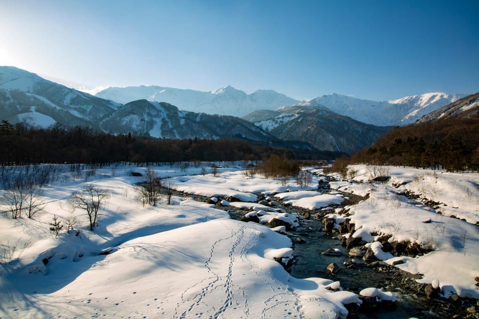 Summer Leaves Bed and Breakfast in Hakuba