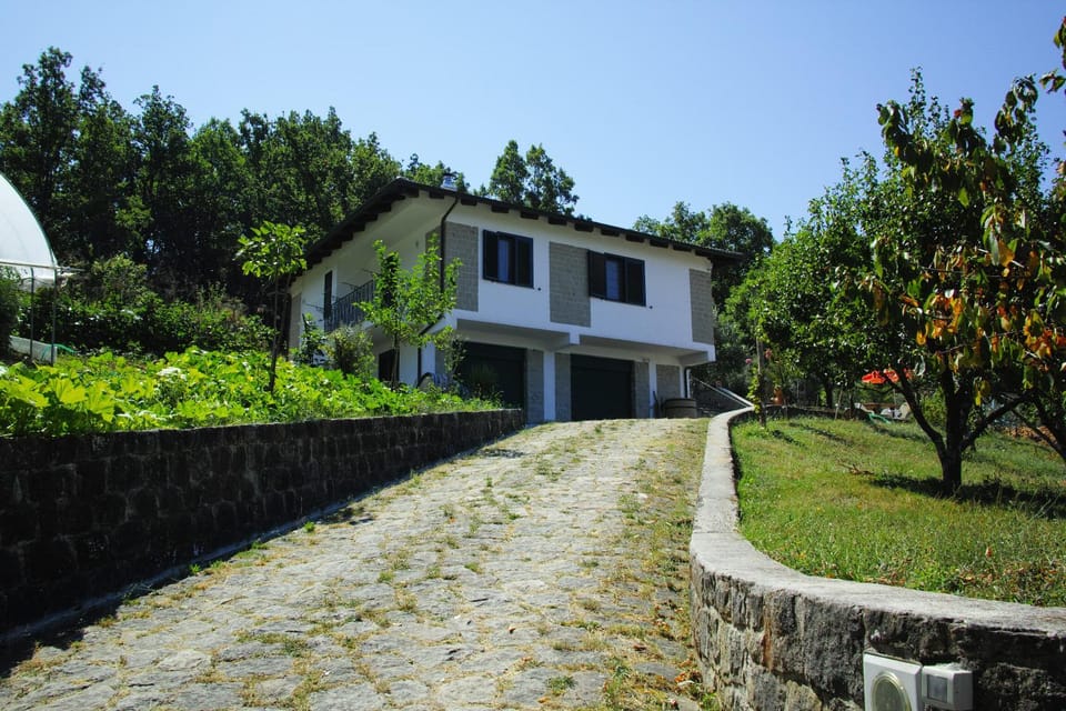 Property building, Facade/entrance, Garden