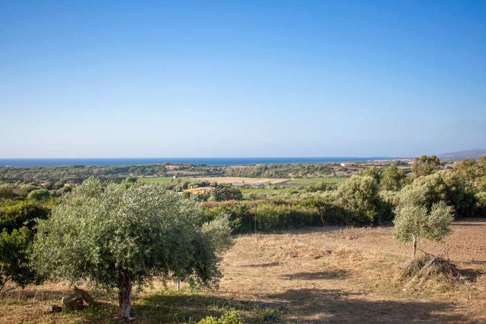 Natural landscape
