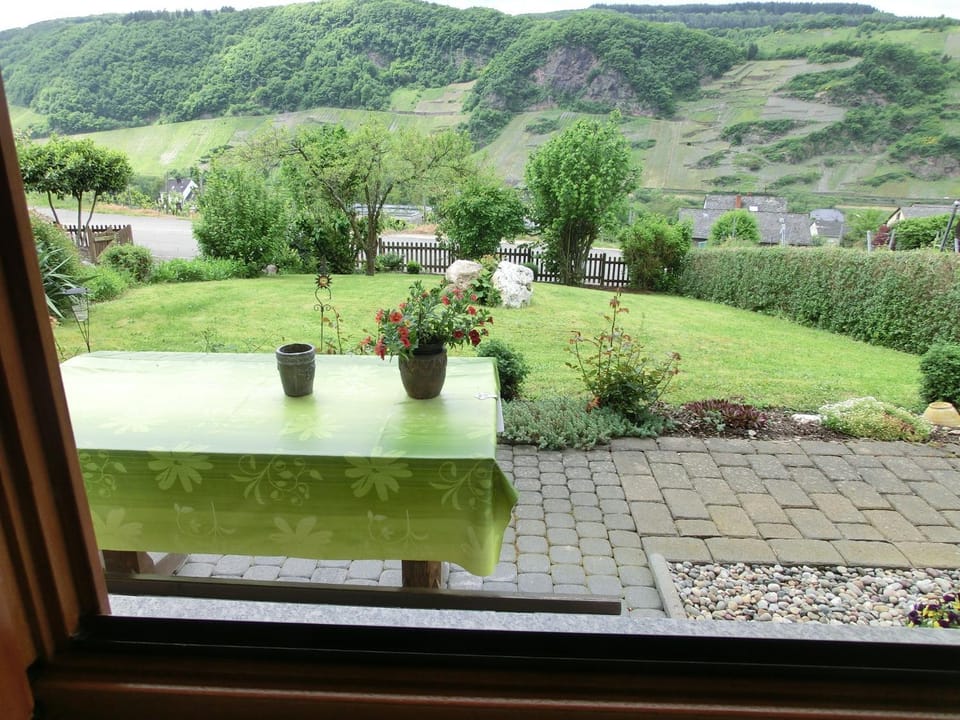 View (from property/room)