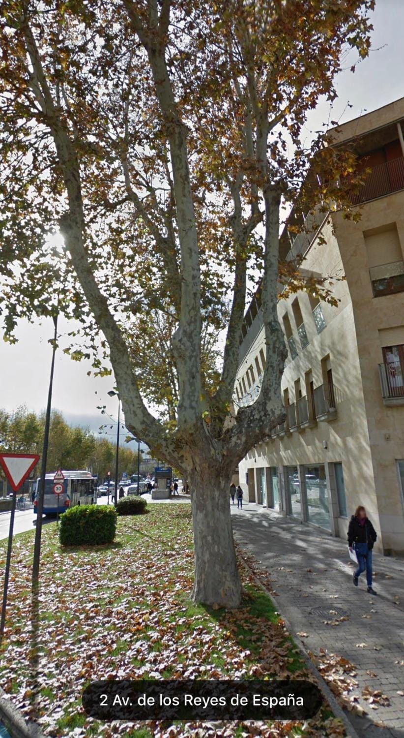 Catedrales Centro Parking Aire acondicionado Apartment in Salamanca