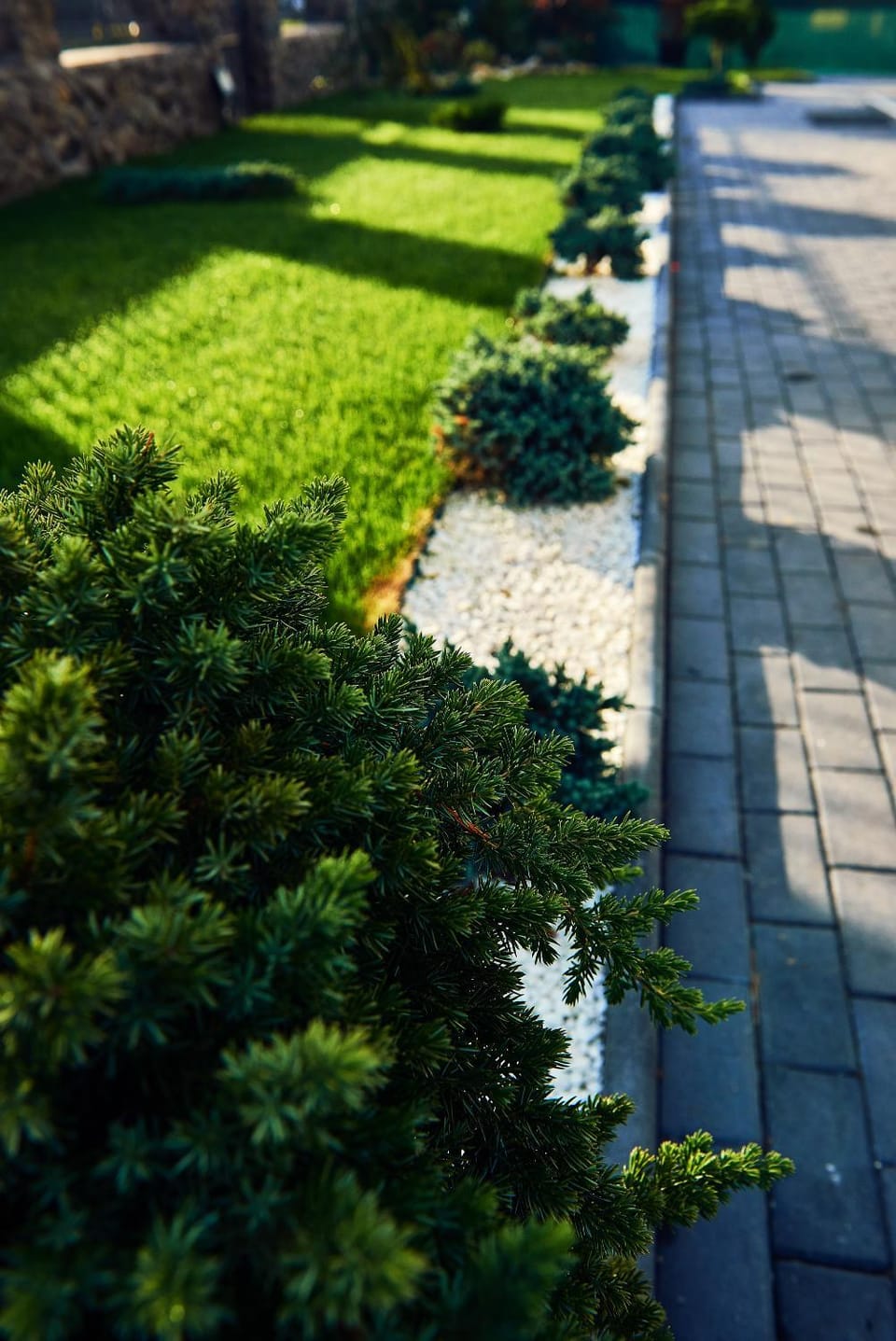 Natural landscape, Garden, Garden view