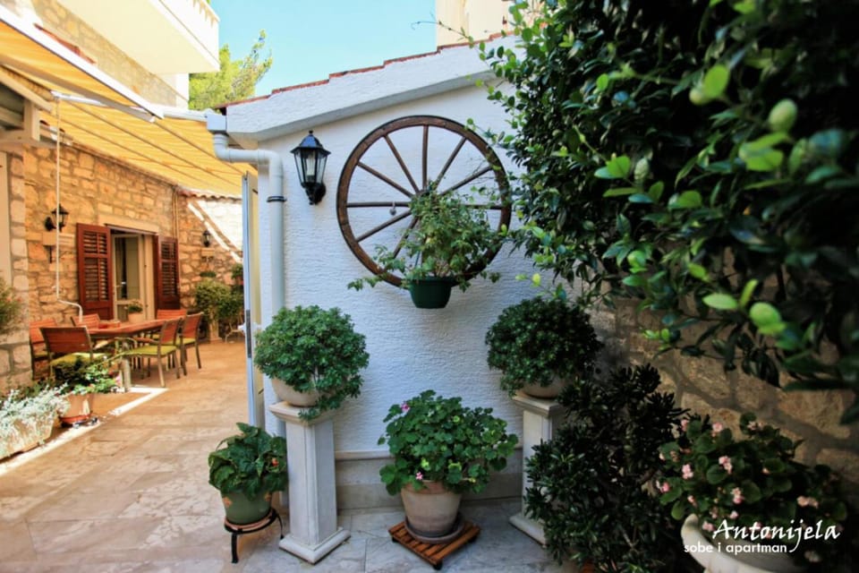 Patio, Garden, Garden view