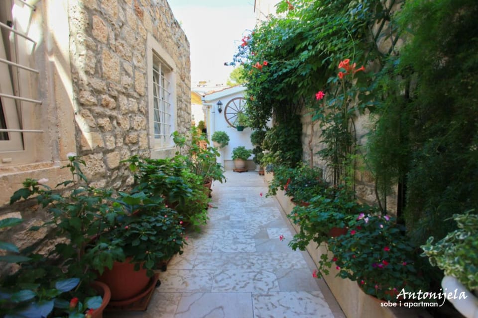 Patio, Garden, Garden view, Buffet breakfast