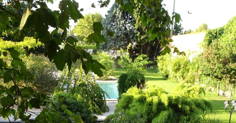 Natural landscape, Garden
