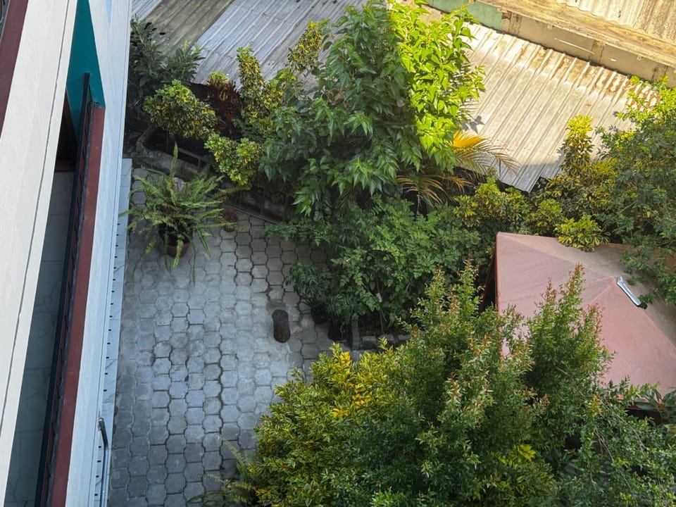 Balcony/Terrace, Garden view